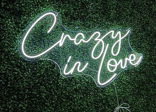 Crazy in Love LED Neon Sign